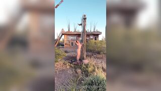 Sara Jean Underwood outdoor shower OnlyFans leak free video